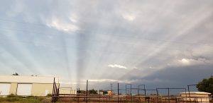 anticrepuscular rays