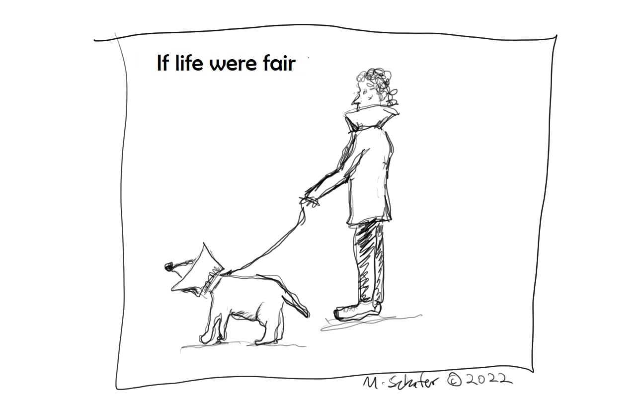 Cartoon of person walking a dog on leash with both wearing a cone around their heads with caption, "If Life Were Fair."