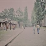 Tourists walking at Auschwitz in 1977