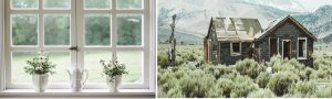 nice white windowpane with white vases versus a rundown house in sagebrush