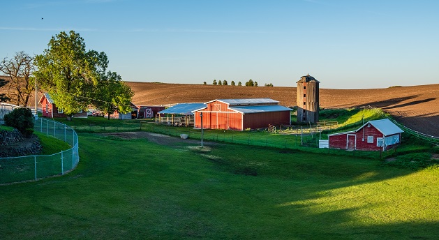 Farm buildings in a green valley